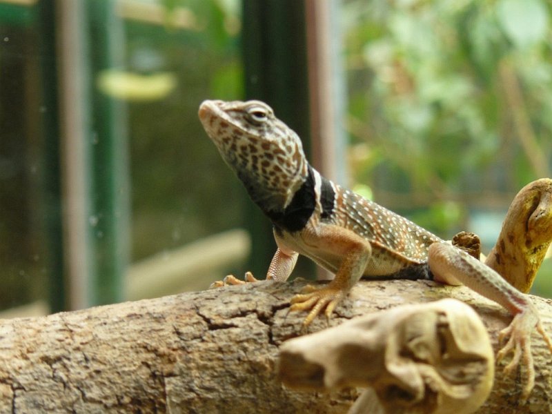 2008 05 Séjour à Martel 88